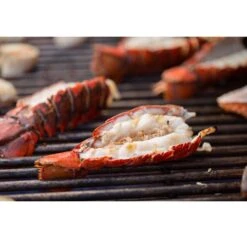 Weber Summit Grill Center 6 Burner Natural Gas Grill Black -Grill Masters Outlet 00d4b77e 5336 4126 a251 fe6c3bd2d5a6