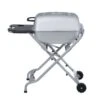 PK Grills 22 In. PK-TX Charcoal Grill And Smoker Silver 2 PK Grills 22 In. PK-TX Charcoal Grill And Smoker Silver -Grill Masters Outlet 5093533c 66f2 4a7f bd91 c7af30f9e778
