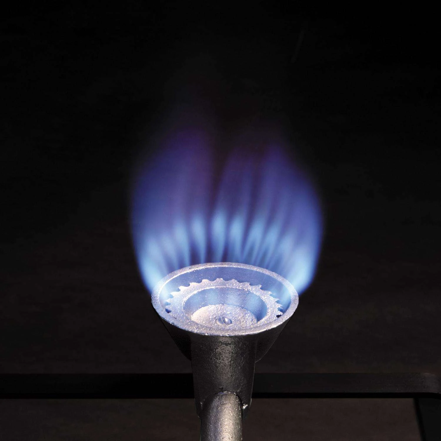 Bayou Classic 59000 BTU Stainless Steel Outdoor Cooker 5 Bayou Classic 59000 BTU Stainless Steel Outdoor Cooker - Image 3