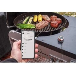 Weber IGrill Mini Digital Bluetooth Enabled Grill/Meat Thermometer -Grill Masters Outlet 7bc1ebce 1a2b 40f2 985a e5c5bf980b2d