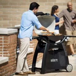 Weber Q3200 2 Burner Natural Gas Grill Titanium -Grill Masters Outlet 9f4a794f 70f2 4b6c a487 46c487403084