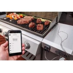 Weber IGrill 3 Digital Bluetooth Enabled Grill/Meat Thermometer -Grill Masters Outlet b6619d35 06fb 468d 9bcf 6bdf2b21afc8