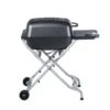 PK Grills 22 In. PK-TX Charcoal Grill And Smoker Graphite -Grill Masters Outlet ee4313b3 64cc 4c62 97ac 8efe8401ad46