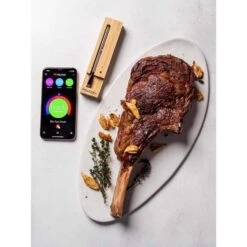 Traeger Meater Plus Bluetooth Enabled Meat Thermometer -Grill Masters Outlet f03512ea 5237 4eba acd7 de6d66dbe2f7